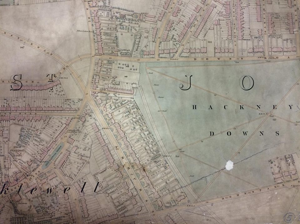 12177792_10153297232917181_392879208_n