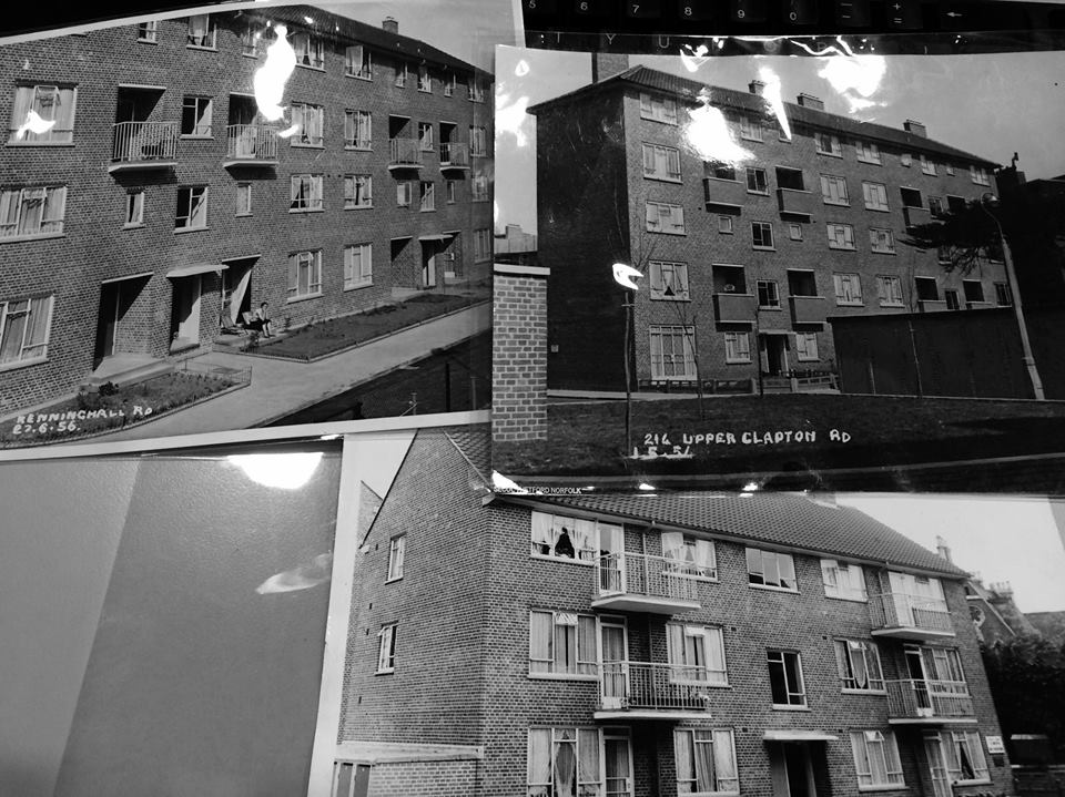 12833279_10153297232477181_1354933873_n