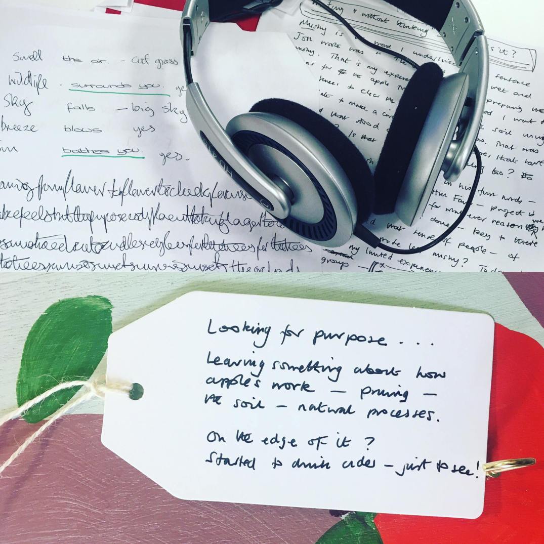 17545363_1399702156769334_5060990751023460227_o